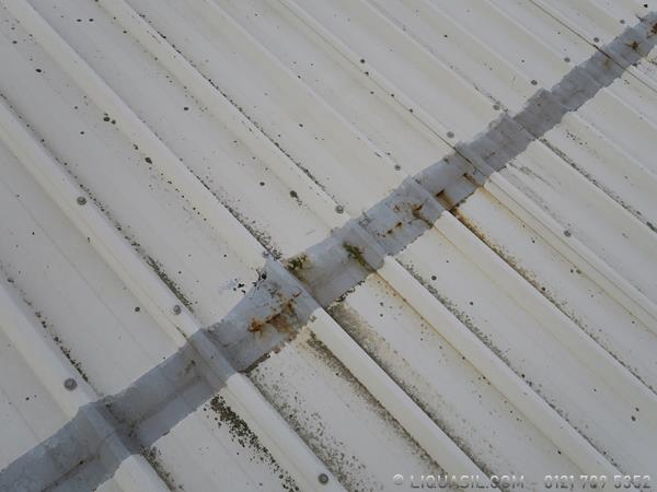 metal roof with cut edge corrosion