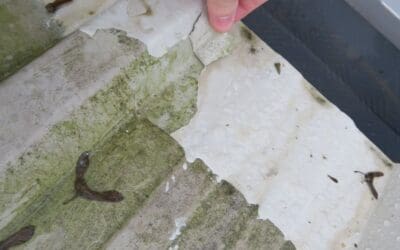 The Importance Of Surface Preparation When Treating Cut Edge Corrosion