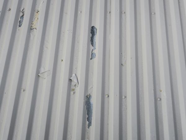 Image showing silicone roof coating applied to a wet substrate and is now peeling
